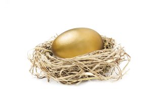 nest egg