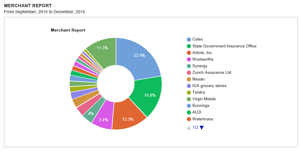 merchant-report